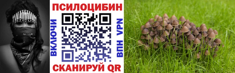 Псилоцибиновые грибы мицелий  наркотики  Нерехта 